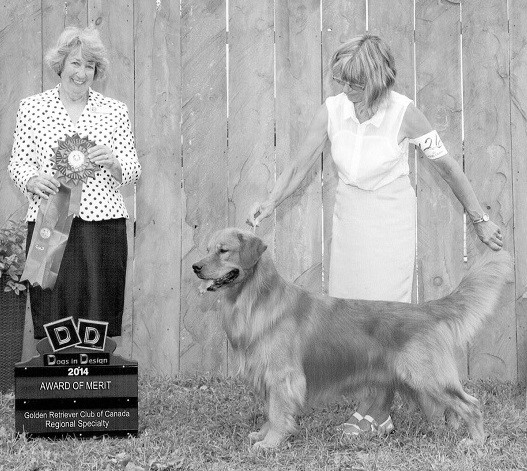 Aethyrian Solmire Vireon