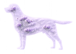 Tuurilla Yritteliäs